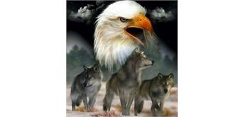 Diamond Painting Set DP2545030 Eagle 35 x 25 cm