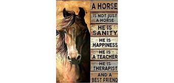 Diamond Painting Set DP2545055 Horse 35 x 45 cm