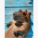Diamond Painting Set DP2545060 Capybara 15 x 25 cm