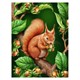 Diamond Painting Set DP2545070 Eichhörnchen 15 x 25 cm