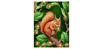 Diamond Painting Set DP2545070 Eichhörnchen 15 x 25 cm