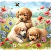 Diamond Painting Set DP2545071 Puppys 15 x 25 cm