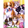 Diamond Painting Set DP2545090 Tiere 25 x 35 cm
