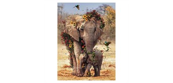Diamond Painting Set DP2545099 Elefanten 35 x 45 cm