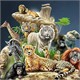 Diamond Painting Set DP2545104 Animals 35 x 45 cm