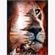 Diamond Painting Set DP2545105 Lion 35 x 45 cm