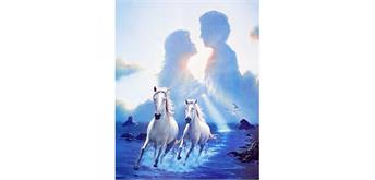 Diamond Painting Set DS22011 Horses 40 x 30 cm