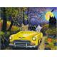 Diamond Painting Set DS22025 Cat Car 40 x 30 cm