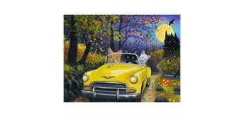 Diamond Painting Set DS22025 Cat Car 40 x 30 cm