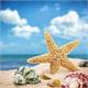 Diamond Painting Set DS22032 Beach 40 x 30 cm