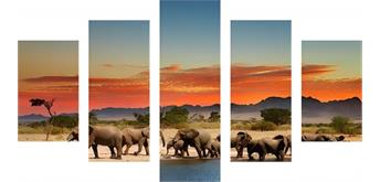 Diamond Painting Set FF378 - 5 Bilder - Elephants