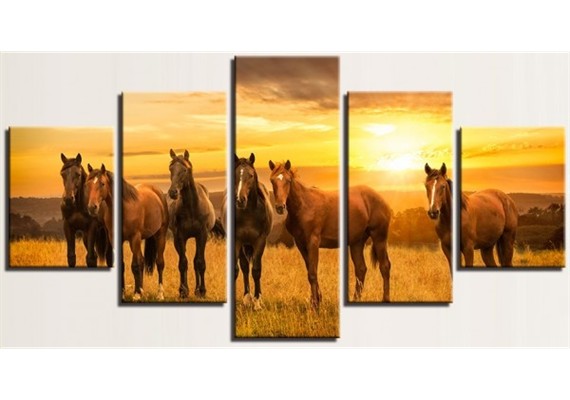 Diamond Painting Set FF403 - 5 Bilder - Horses