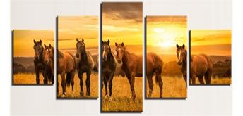 Diamond Painting Set FF403 - 5 Bilder - Horses