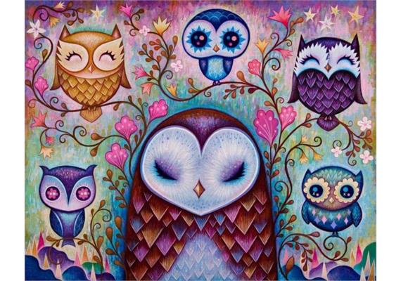 Diamond Painting Set FH1577 Owls 50 x 40 cm