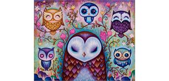 Diamond Painting Set FH1577 Owls 50 x 40 cm