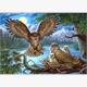 Diamond Painting Set GC77801 Owl 35 x 45 cm
