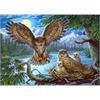 Diamond Painting Set GC77801 Owl 35 x 45 cm