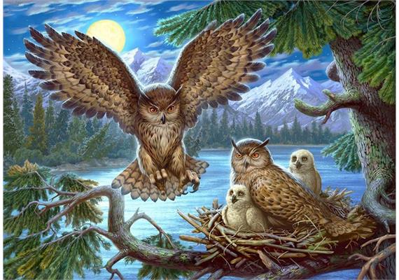 Diamond Painting Set GC77801 Owl 35 x 45 cm
