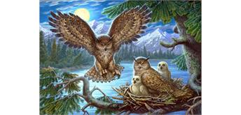 Diamond Painting Set GC77801 Owl 35 x 45 cm