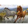 Diamond Painting Set GD75161 Horses 25 x 35 cm