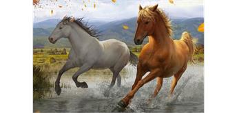 Diamond Painting Set GD75161 Horses 25 x 35 cm