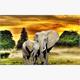 Diamond Painting Set GD79047 Elephant 35 x 25 cm