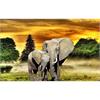 Diamond Painting Set GD79047 Elephant 35 x 25 cm
