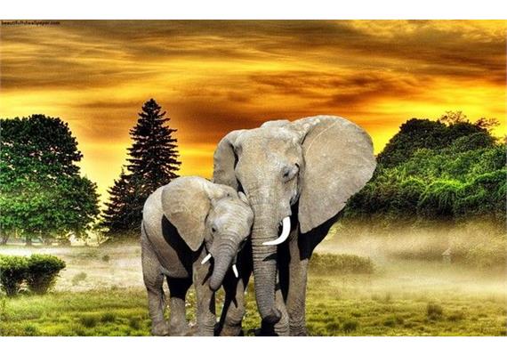 Diamond Painting Set GD79047 Elephant 35 x 25 cm