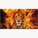 Diamond Painting Set GD79047 Lion Flame 35 x 25 cm