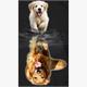 Diamond Painting Set GD79240 Dogs 35 x 25 cm