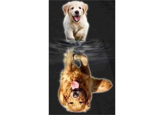 Diamond Painting Set GD79240 Dogs 35 x 25 cm