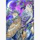Diamond Painting Set GD79285 Owl 35 x 25 cm