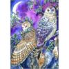 Diamond Painting Set GD79285 Owl 35 x 25 cm