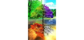 Diamond Painting Set GD80309 Seasons 25 x 35 cm