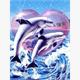 Diamond Painting Set GM1315 Dolphins 35 x 45 cm
