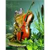 Diamond Painting Set GX531 Frog 40 x 30 cm