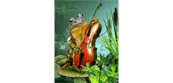 Diamond Painting Set GX531 Frog 40 x 30 cm