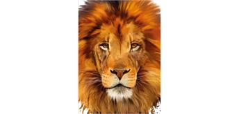 Diamond Painting Set Karte Lion 18 x 13 cm