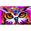 Diamond Painting Set MR21294 Owl 15 x 25 cm