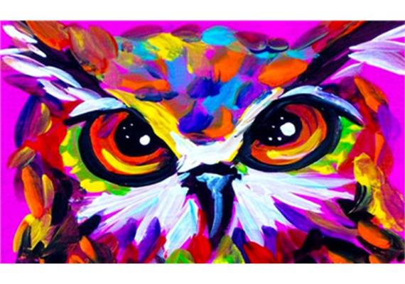 Diamond Painting Set MR21294 Owl 15 x 25 cm