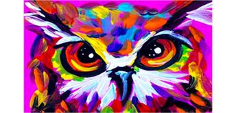 Diamond Painting Set MR21294 Owl 15 x 25 cm