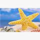 Diamond Painting Set MR27653 Beach 15 x 25 cm