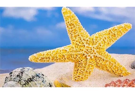 Diamond Painting Set MR27653 Beach 15 x 25 cm