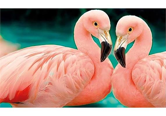 Diamond Painting Set MR27685 Flamingos 15 x 25 cm