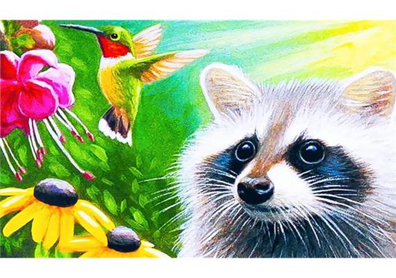 Diamond Painting Set MR29589 Racoon