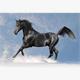 Diamond Painting Set Q015 Horse 30 x 20 cm