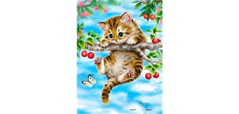 Diamond Painting Set Q042 Cat 15 x 25 cm