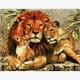 Diamond Painting Set Q102 Lion with Cubs 20 x 30 cm