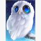 Diamond Painting Set Q152 Owl 20 x 30 cm