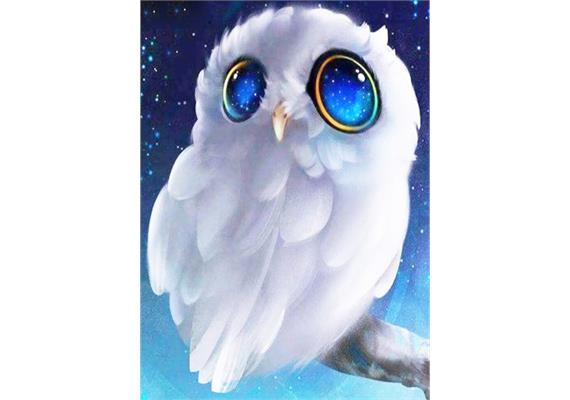 Diamond Painting Set Q152 Owl 20 x 30 cm